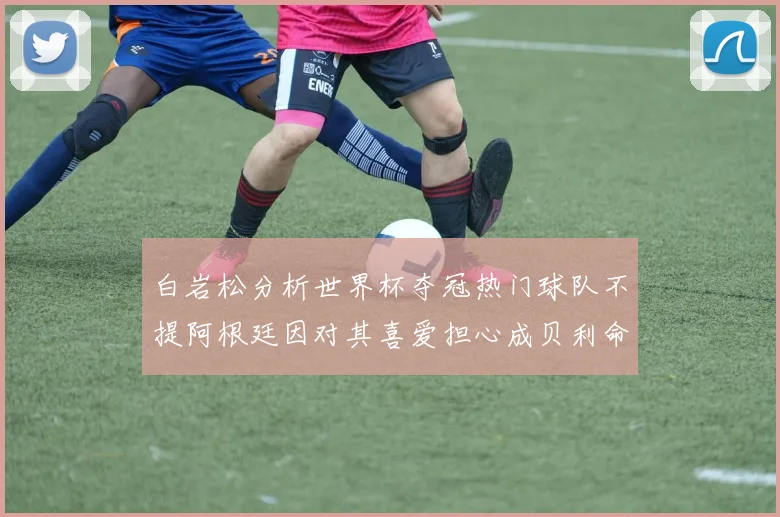 白岩松分析世界杯夺冠热门球队不提阿根廷因对其喜爱担心成贝利命运
